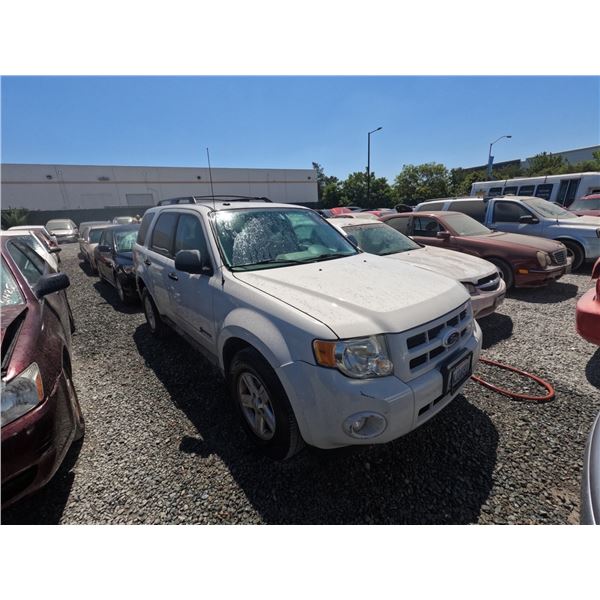 FORD ESCAPE 2010 T-DONATION