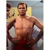 Image 1 : Star Trek William Shatner signed photo