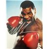 Image 1 : Mike Tyson signed photo