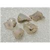 Image 1 : 22)  LOT OF 5 NATURAL ROUGH ETHIOPEAN OPALS,