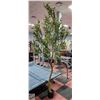 Image 1 : NEW LARGE 7FT ARTIFICIAL OLIVE TREE
