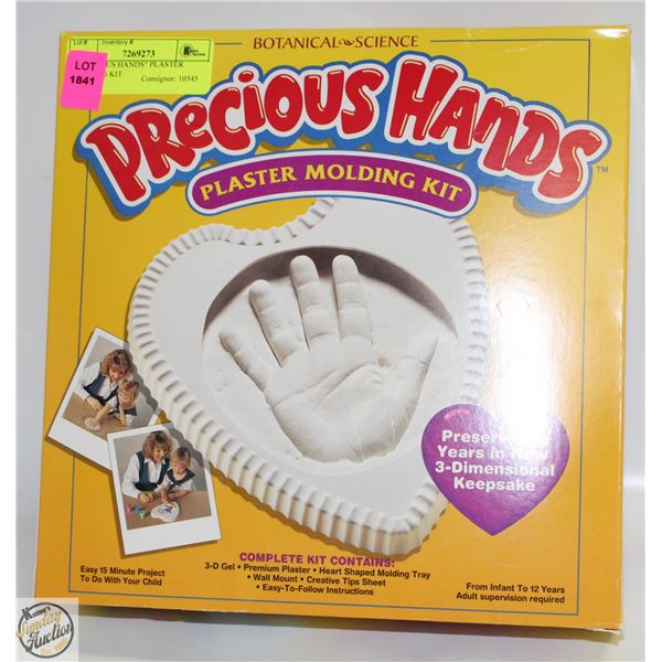 "DELICIOUS HANDS" PLASTER MOLDING KIT