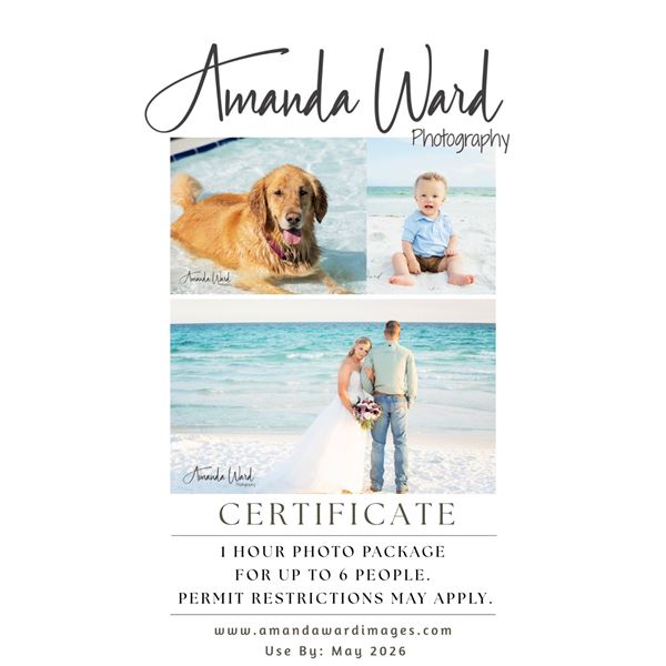 1 Hour Photography Session