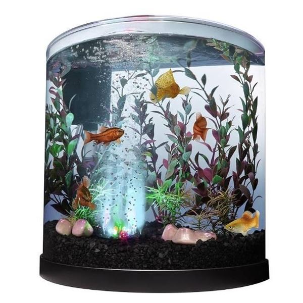 Tetra Bubbling LED Aquarium Kit 3 Gallons, Half-Moon Fish Tank With Color-Changing Light Disc