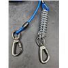 Image 2 : Blue Coated Steel Pet Tie Off Cable with Spring and Carabiner Clips