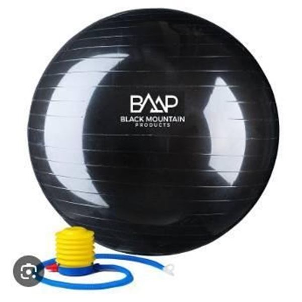 75 cm Black Exercise Ball with Foot Pump