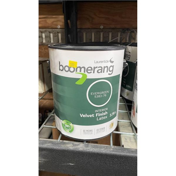 Boomerang Latex Interior Paint 3.78 L – Evergreen 5153-73