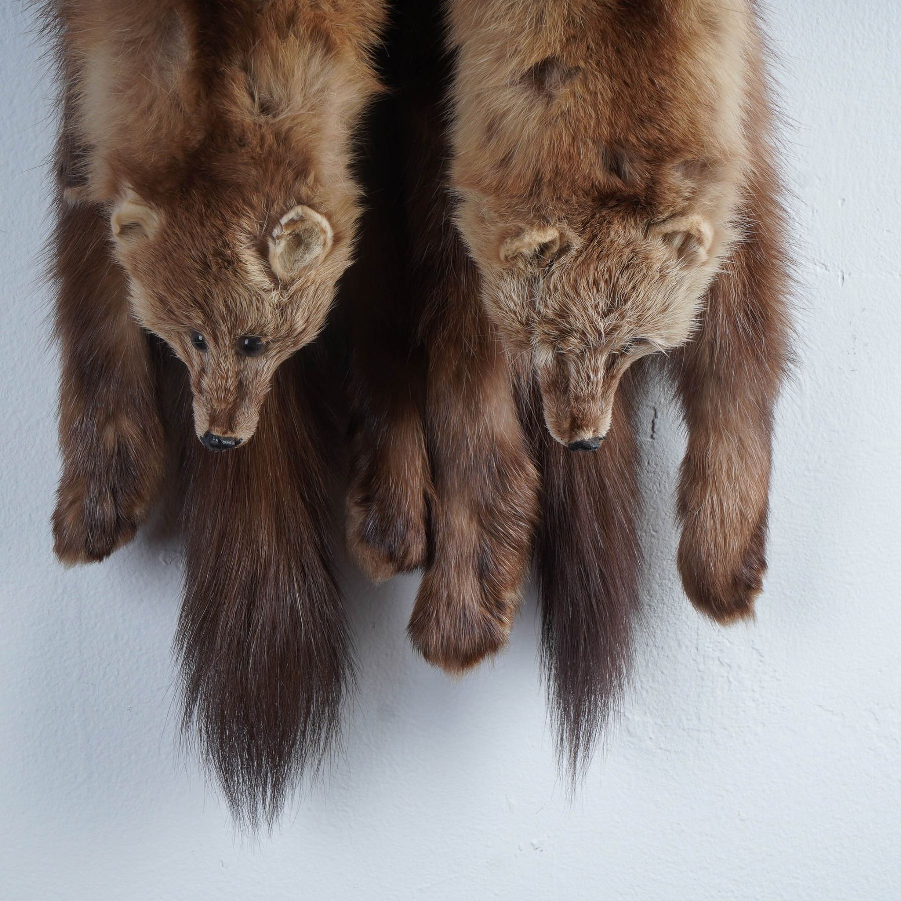 Pair of Authentic Fur Stoles, Full Pelt Design