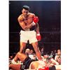 Image 1 : Muhammad Ali signed photo