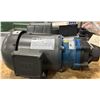 Image 3 : FTI #KC8VTN355C02 Pump w/ WEG Motor