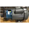 Image 5 : FTI #KC8VTN355C02 Pump w/ WEG Motor