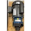Image 6 : FTI #KC8VTN355C02 Pump w/ WEG Motor