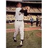 Image 1 : Willie Mays signed photo