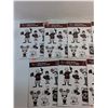 Image 2 : CFL Montreal Alouettes Family Decals