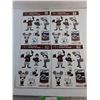 Image 1 : CFL Montreal Alouettes Family Decals