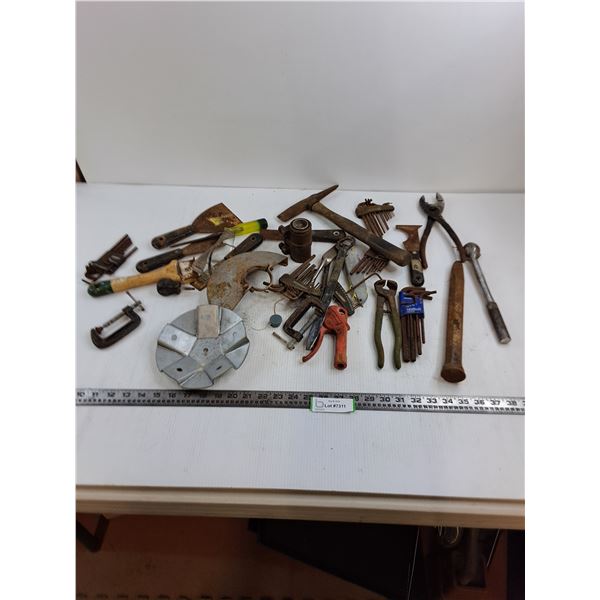 Various Mostly Rusted Tools