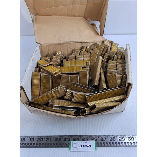 Open Box of Staple-Gun Staples - Cannot Ship