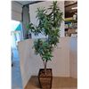 Image 1 : *Artificial Tree with Stand, Up to 76" Tall  -  Cannot Ship