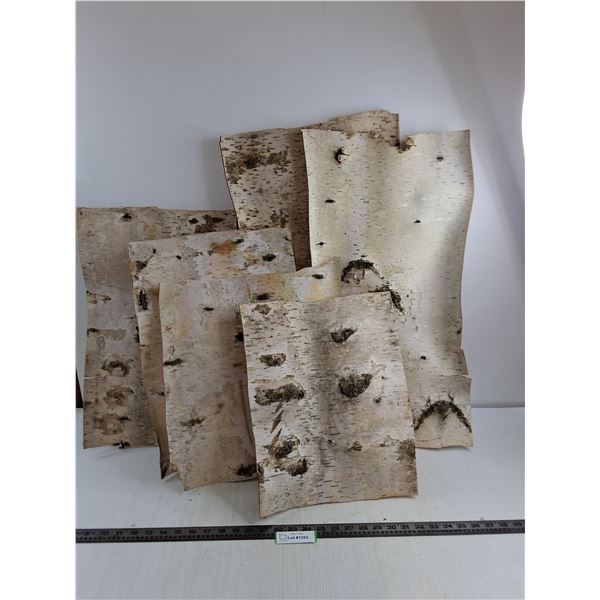 (6) Pieces of Flattened Birch Tree Bark - Largest 29" x 14" Approx
