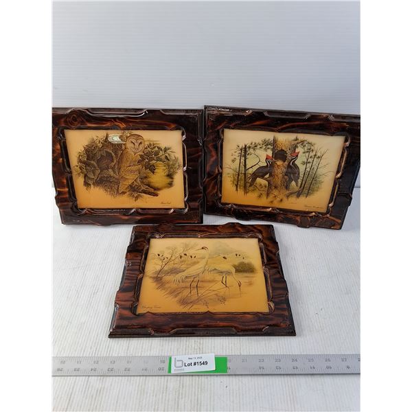 Bird Pictures in Wooden Frames