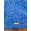 Image 2 : *Large Rv Tarp, 46ft x 32ft