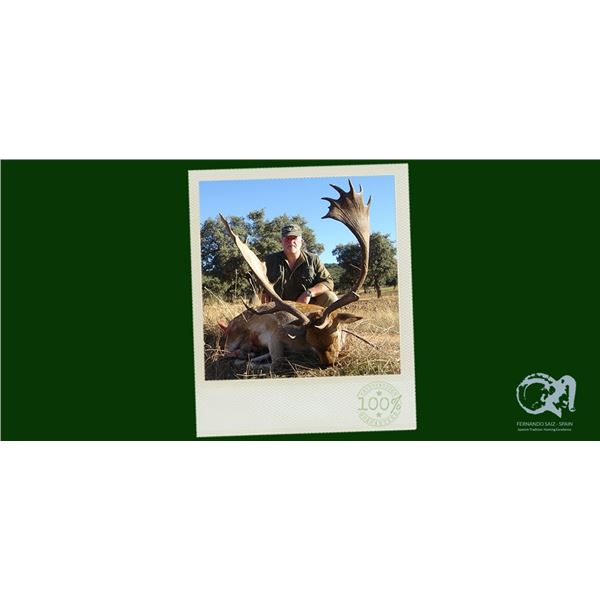 SPAIN – 3 DAY HUNT FOR TROPHY EUROPEAN FALLOW DEER FOR ONE HUNTER: