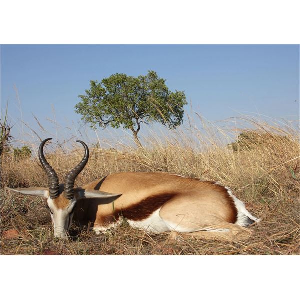 SOUTH AFRICA 7 DAY / 6 NIGHT PLAINS LONG RANGE GAME SAFARI FOR 2 HUNTERS: