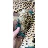 Image 16 : MOUNTED 9 FT LEOPARD RUG  MOSTLY IN GOOD SHAPE BUT EARS AND MINOR HEAD REPAIRS NEEDED