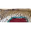 Image 29 : MOUNTED 9 FT LEOPARD RUG  MOSTLY IN GOOD SHAPE BUT EARS AND MINOR HEAD REPAIRS NEEDED