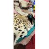 Image 40 : MOUNTED 9 FT LEOPARD RUG  MOSTLY IN GOOD SHAPE BUT EARS AND MINOR HEAD REPAIRS NEEDED