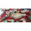 Image 4 : FIVE FULL ANTIQUE DECOYS AND MISC. DECOY HEADS COMES WITH TOTE