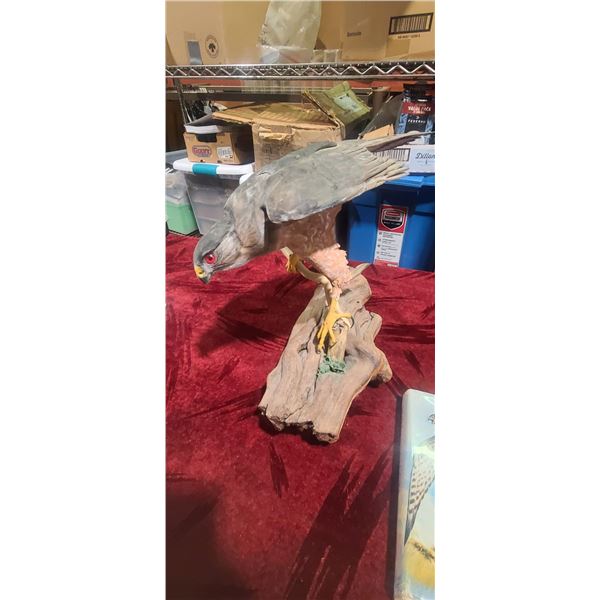 FALCON MODEL (MINOR DAMAGE) AND THE BOOK THE LOVE OF THE FALCON