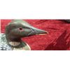Image 13 : ASSORTED CARVINGS - LARGE LOON CARVED BY O.B. IN 93
