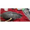 Image 14 : BLACK OYSTER CATCHER CARVING BY JACK FISHER 16"L X 10"W X 11"H - SHIPPING MAY REQUIRE EXTRA SHIPPING