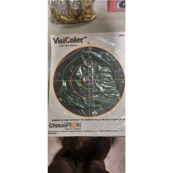 22 CHAMPION VISI- COLOR TARGETS