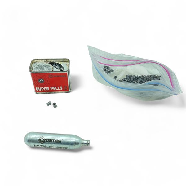 Assorted Airgun Pellets and 12 Gram CO2 Cartridge
