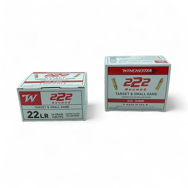 Winchester Target and Small Game 22 LR 36 Grain Copper Plated Hollow Point Ammunition, 444 Rounds