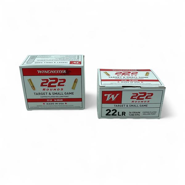 Winchester Target and Small Game 22 LR 36 Grain Copper Plated Hollow Point Ammunition, 444 Rounds