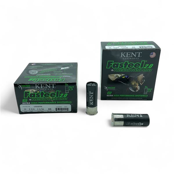 Kent Fasteel 2.0 Steel 12 Gauge 2 3/4" BB Ammunition, 50 Rounds
