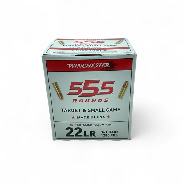 Winchester Target & Small Game .22 LR, 36 Grain Copper Plated Hollow Point Ammunition, 555 Rounds