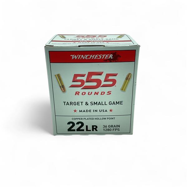 Winchester Target & Small Game .22 LR, 36 Grain Copper Plated Hollow Point Ammunition, 555 Rounds