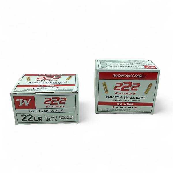 Winchester Target and Small Game 22 LR 36 Grain Copper Plated Hollow Point Ammunition, 444 Rounds