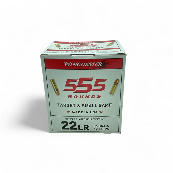Winchester Target & Small Game .22 LR, 36 Grain Copper Plated Hollow Point Ammunition, 555 Rounds