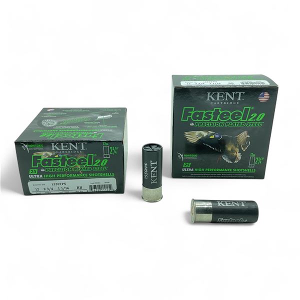 Kent Fasteel 2.0 Steel 12 Gauge 2 3/4" BB Ammunition, 50 Rounds
