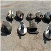 Image 2 : Assorted Duck Decoys X 13 Qty