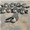 Image 3 : Canada Goose Plastic Decoys X 15