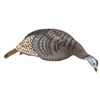 Image 1 : Hunter's Specialties Strut Lite Feeding Hen Decoy, New
