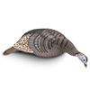Image 1 : Hunter's Specialties Strut Feeding Hen Decoy, New
