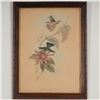 Image 1 : John Gould & H.C. Richter, Color Lithograph on Paper, Hummingbirds