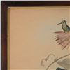 Image 2 : John Gould & H.C. Richter, Color Lithograph on Paper, Hummingbirds